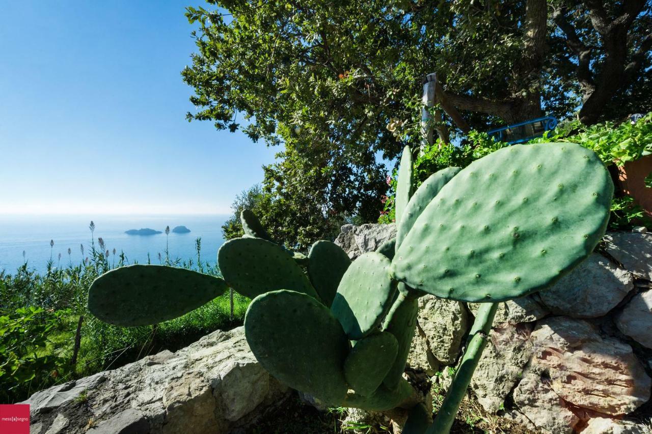 Apartament Il Nibbio Piano di Sorrento Zewnętrze zdjęcie
