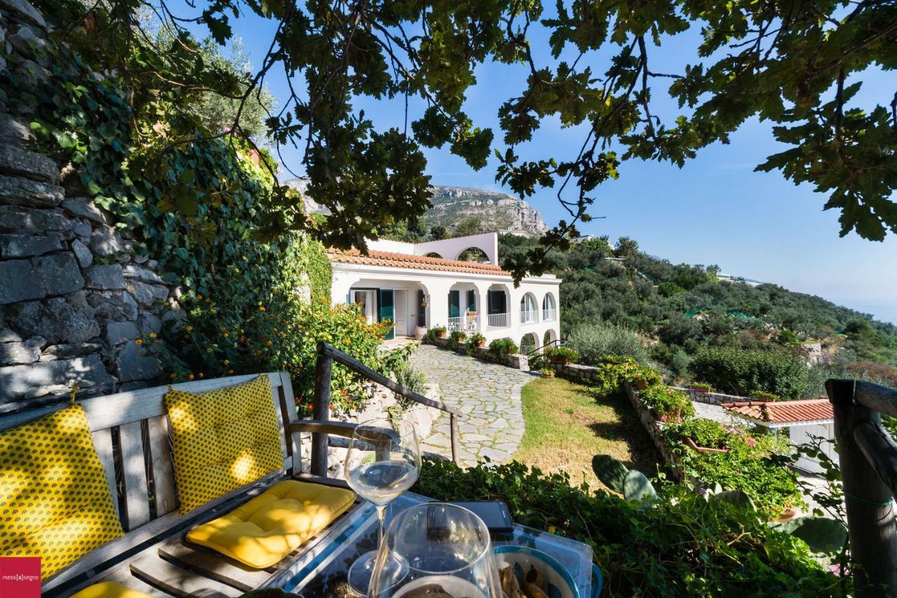 Apartament Il Nibbio Piano di Sorrento Zewnętrze zdjęcie