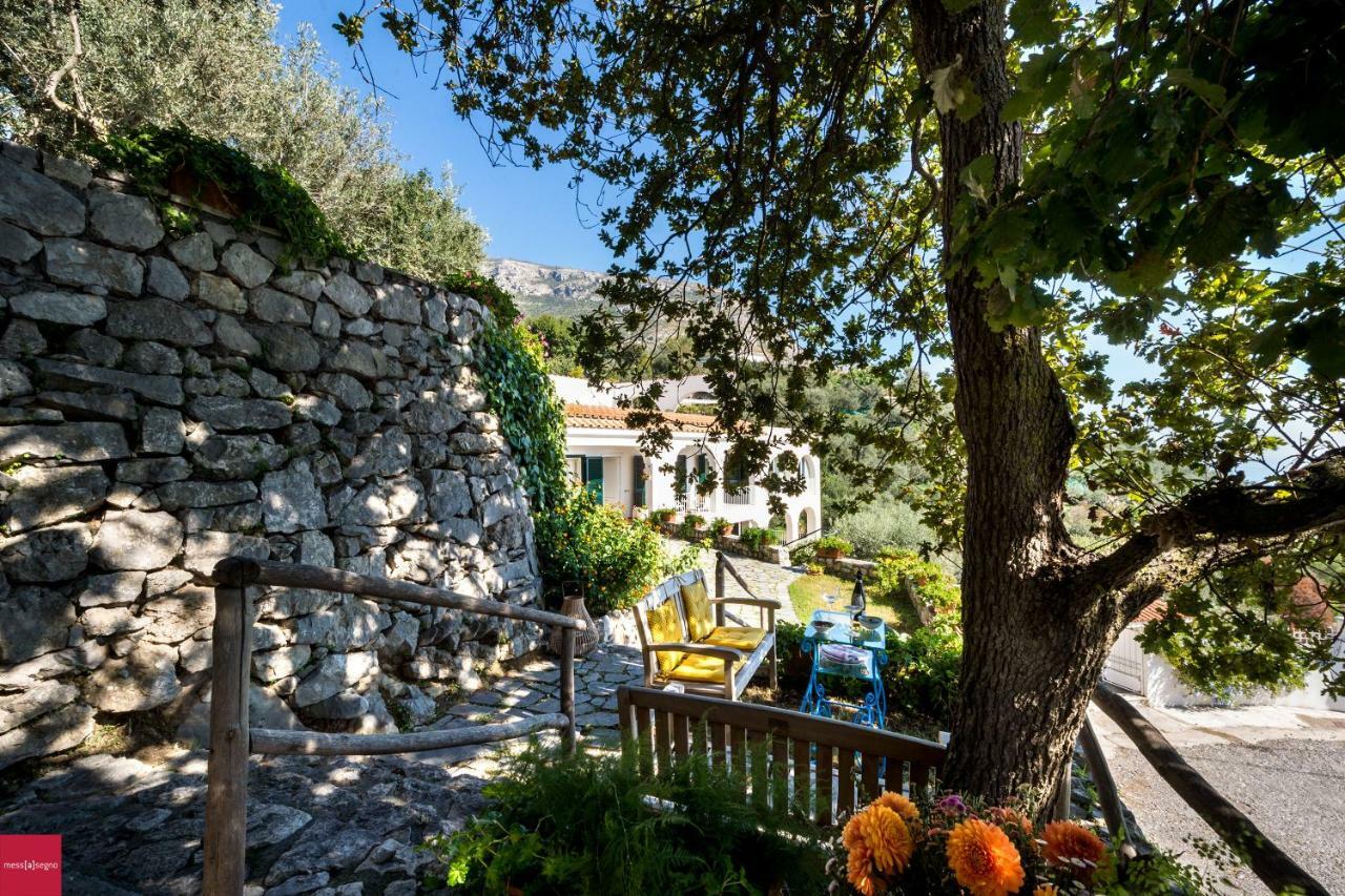 Apartament Il Nibbio Piano di Sorrento Zewnętrze zdjęcie