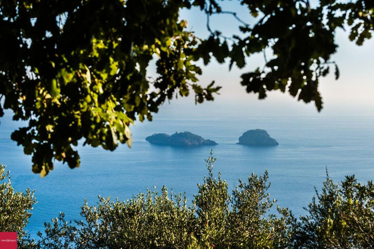 Apartament Il Nibbio Piano di Sorrento Zewnętrze zdjęcie