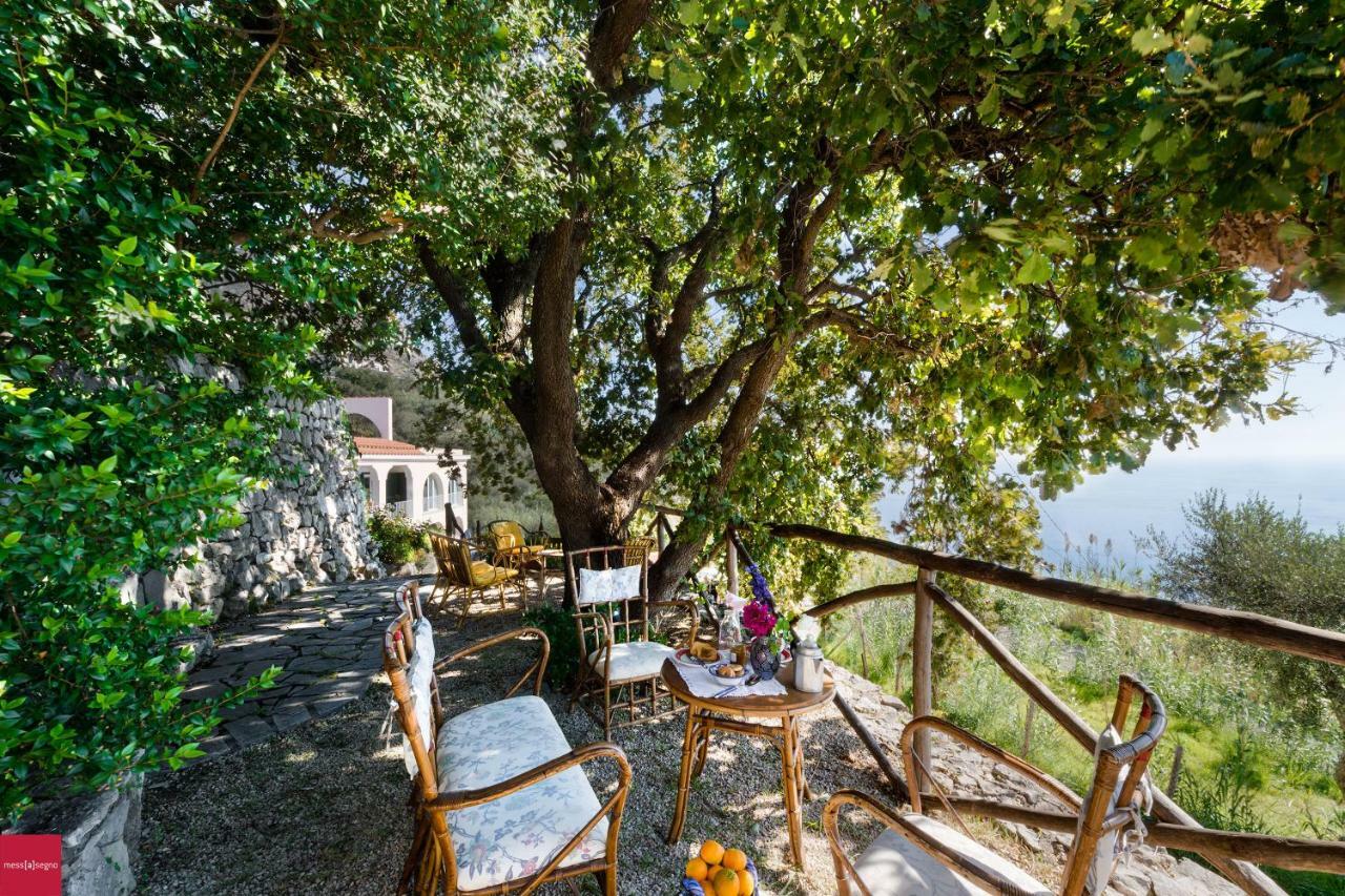 Apartament Il Nibbio Piano di Sorrento Zewnętrze zdjęcie